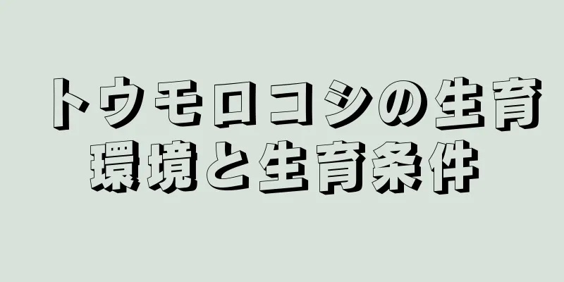 トウモロコシの生育環境と生育条件