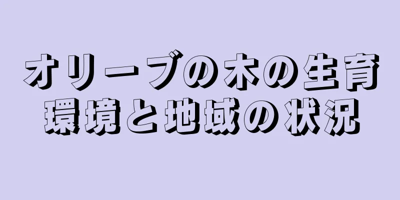 オリーブの木の生育環境と地域の状況