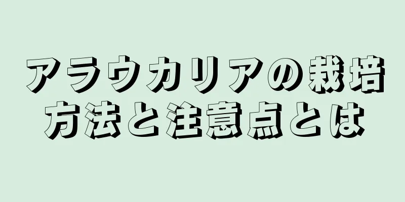 アラウカリアの栽培方法と注意点とは