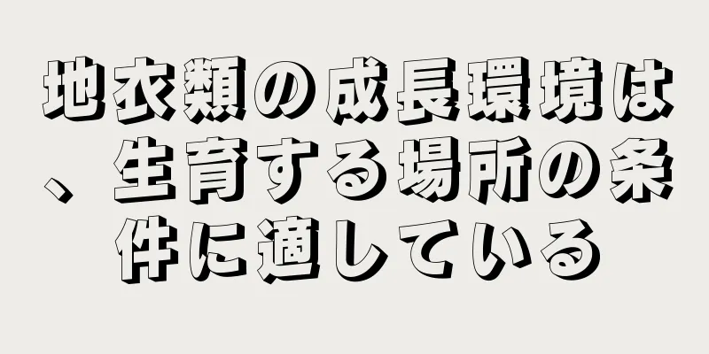 地衣類の成長環境は、生育する場所の条件に適している