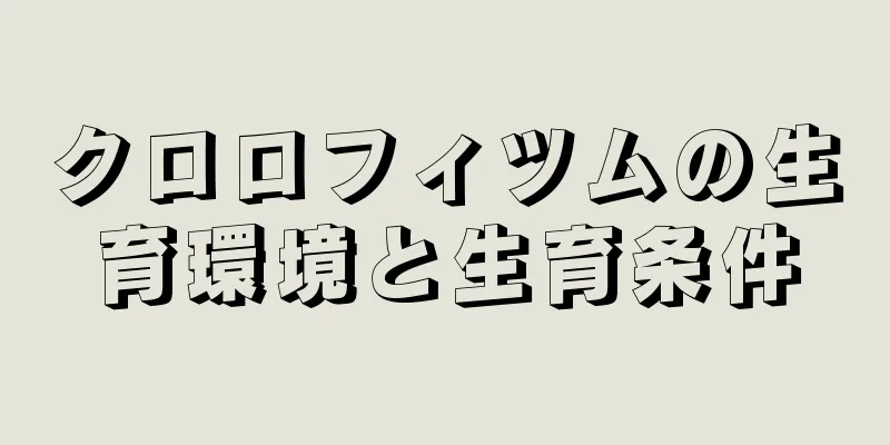 クロロフィツムの生育環境と生育条件