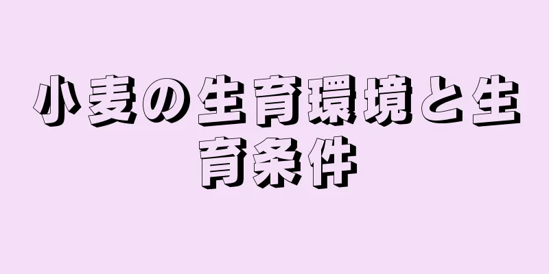 小麦の生育環境と生育条件