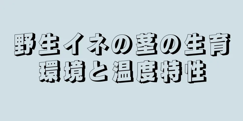 野生イネの茎の生育環境と温度特性