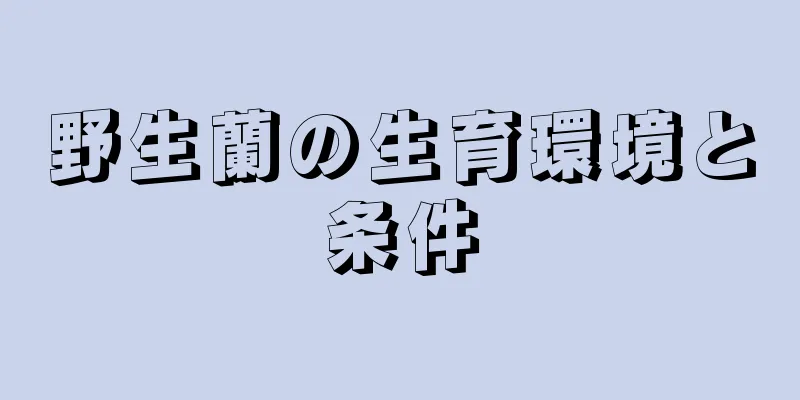 野生蘭の生育環境と条件