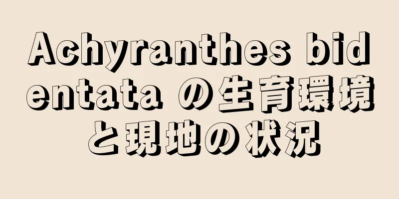 Achyranthes bidentata の生育環境と現地の状況
