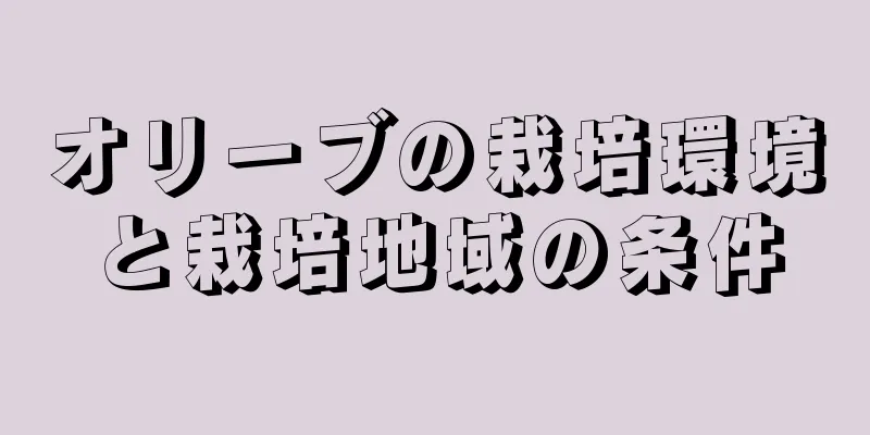 オリーブの栽培環境と栽培地域の条件