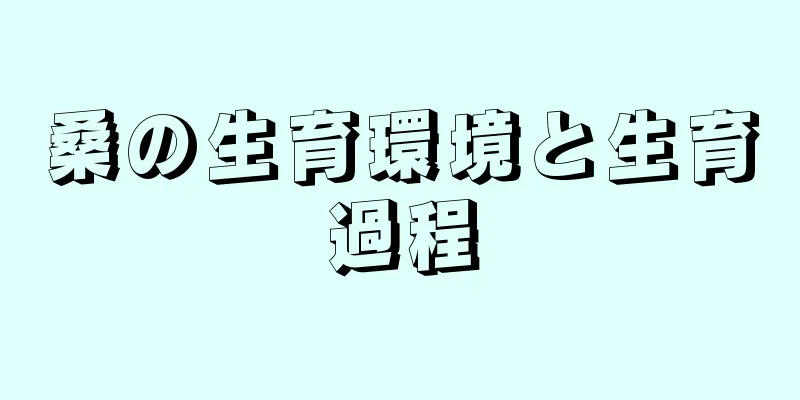 桑の生育環境と生育過程
