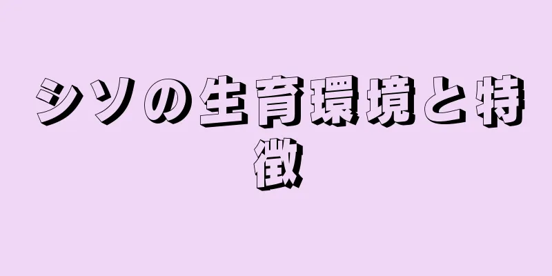 シソの生育環境と特徴