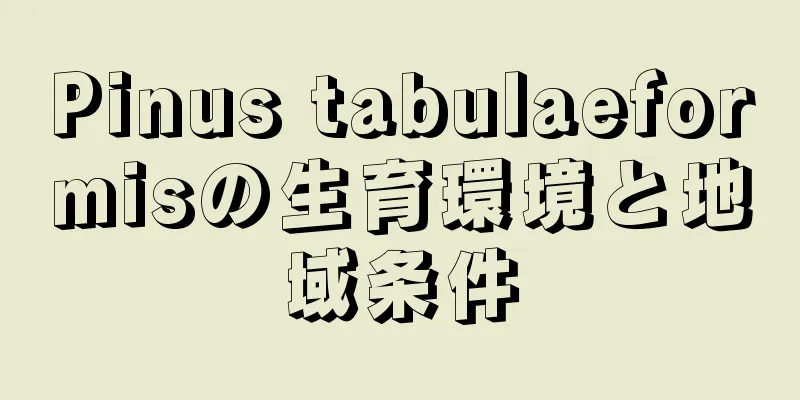 Pinus tabulaeformisの生育環境と地域条件