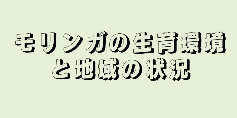 モリンガの生育環境と地域の状況