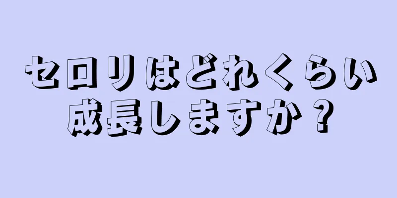 セロリはどれくらい成長しますか？