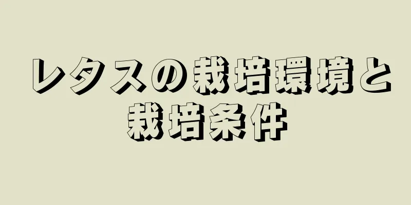 レタスの栽培環境と栽培条件