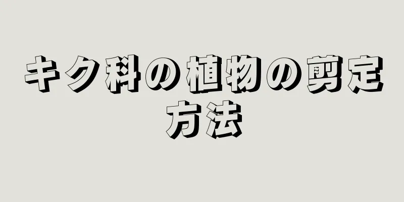 キク科の植物の剪定方法