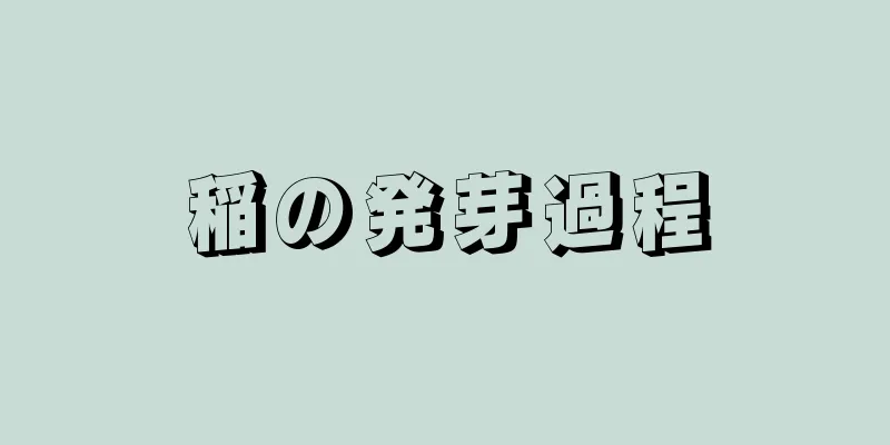 稲の発芽過程