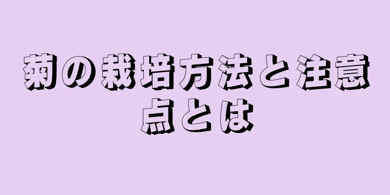 菊の栽培方法と注意点とは