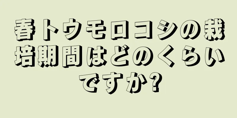 春トウモロコシの栽培期間はどのくらいですか?