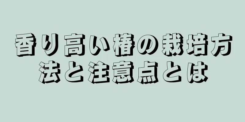 香り高い椿の栽培方法と注意点とは
