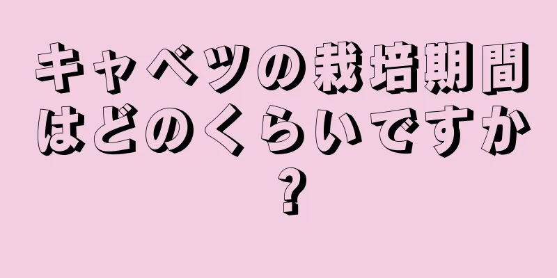 キャベツの栽培期間はどのくらいですか？
