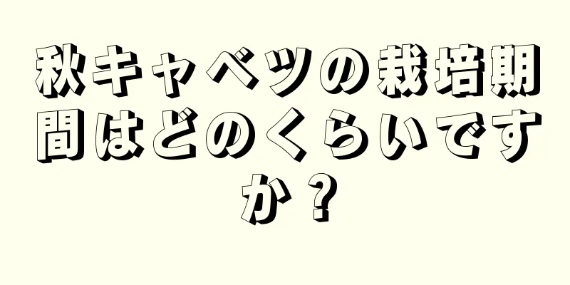 秋キャベツの栽培期間はどのくらいですか？