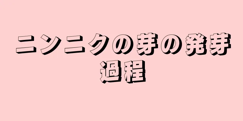 ニンニクの芽の発芽過程
