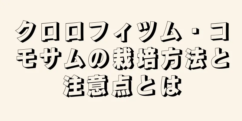 クロロフィツム・コモサムの栽培方法と注意点とは