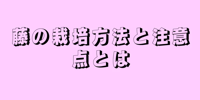 藤の栽培方法と注意点とは