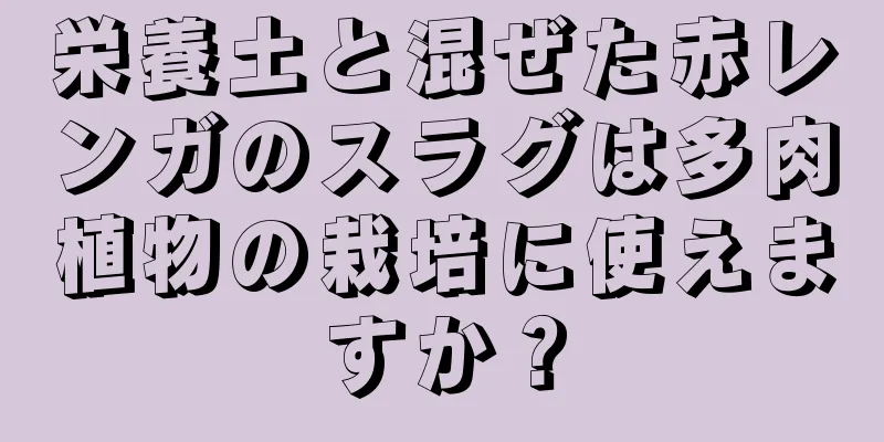 栄養土と混ぜた赤レンガのスラグは多肉植物の栽培に使えますか？