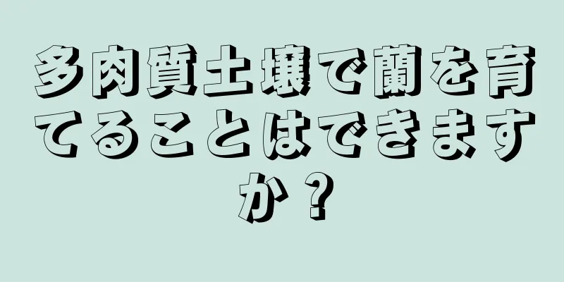 多肉質土壌で蘭を育てることはできますか？