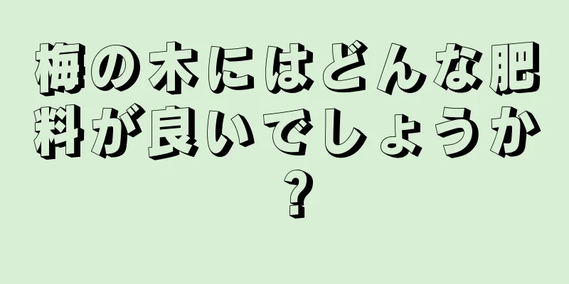 梅の木にはどんな肥料が良いでしょうか？
