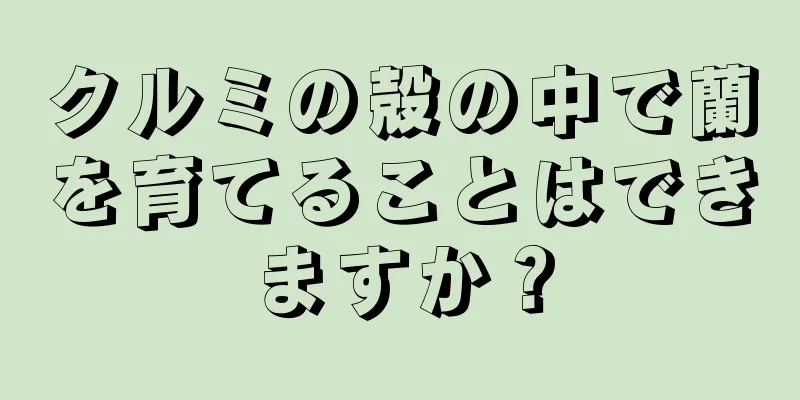 クルミの殻の中で蘭を育てることはできますか？