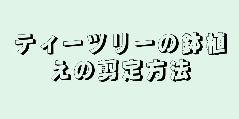 ティーツリーの鉢植えの剪定方法