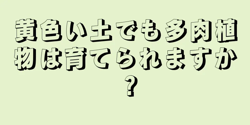 黄色い土でも多肉植物は育てられますか？