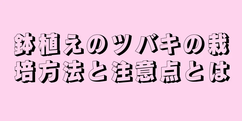 鉢植えのツバキの栽培方法と注意点とは