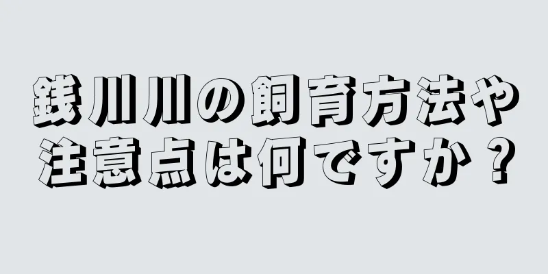 銭川川の飼育方法や注意点は何ですか？