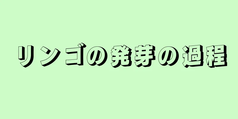 リンゴの発芽の過程
