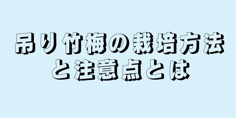 吊り竹梅の栽培方法と注意点とは