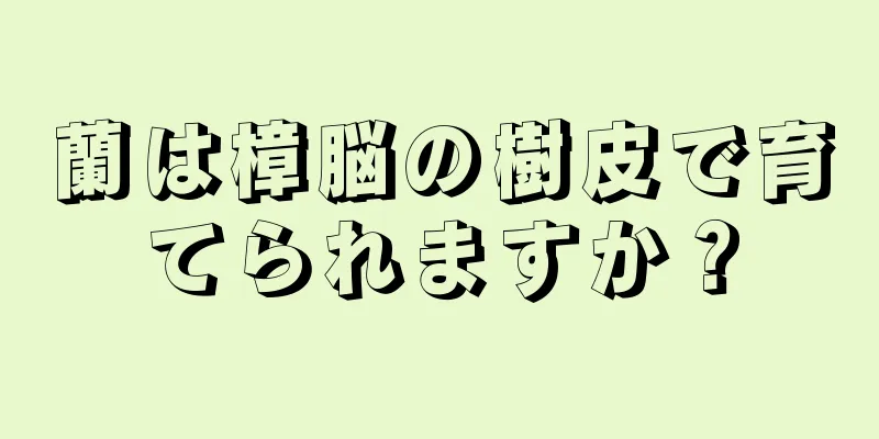 蘭は樟脳の樹皮で育てられますか？