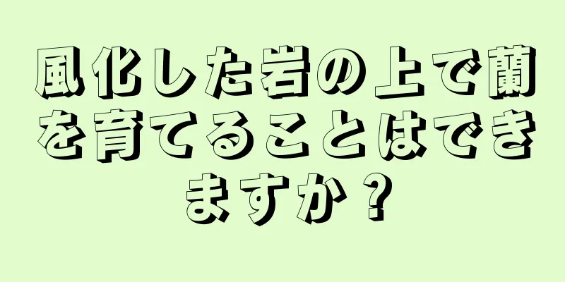 風化した岩の上で蘭を育てることはできますか？