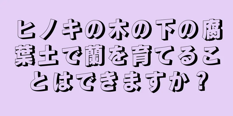 ヒノキの木の下の腐葉土で蘭を育てることはできますか？