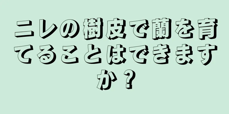 ニレの樹皮で蘭を育てることはできますか？