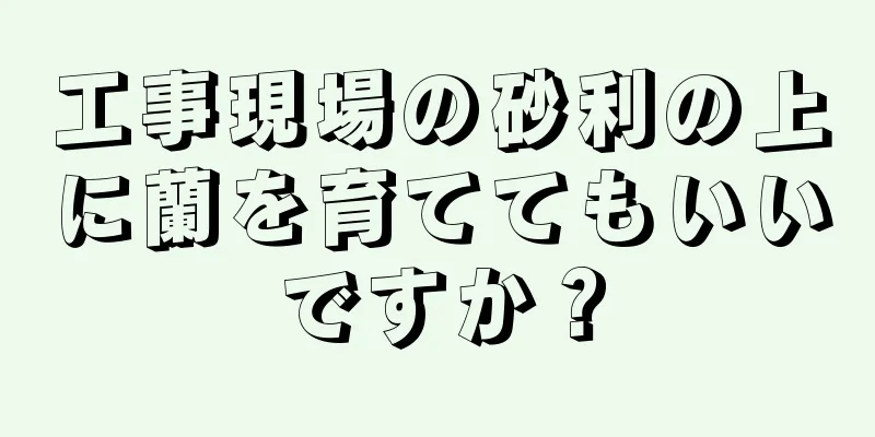 工事現場の砂利の上に蘭を育ててもいいですか？