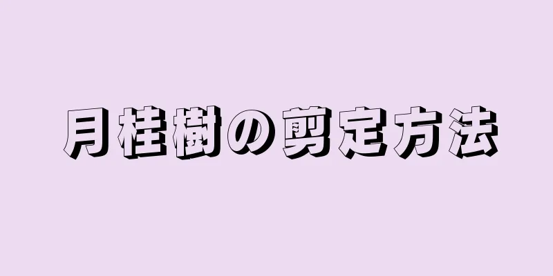 月桂樹の剪定方法