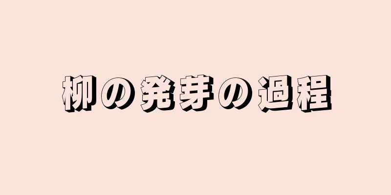 柳の発芽の過程