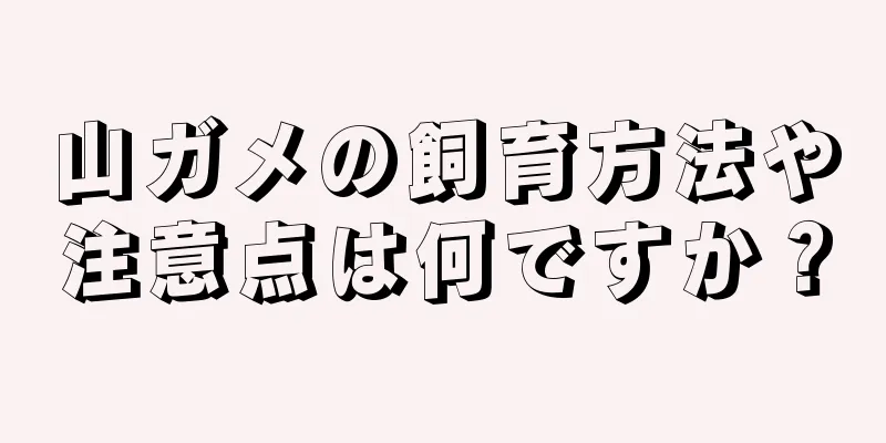 山ガメの飼育方法や注意点は何ですか？