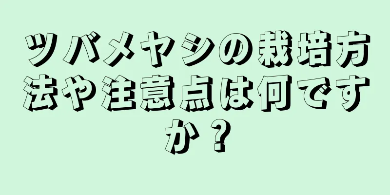 ツバメヤシの栽培方法や注意点は何ですか？