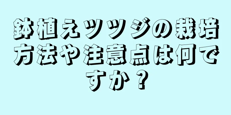 鉢植えツツジの栽培方法や注意点は何ですか？