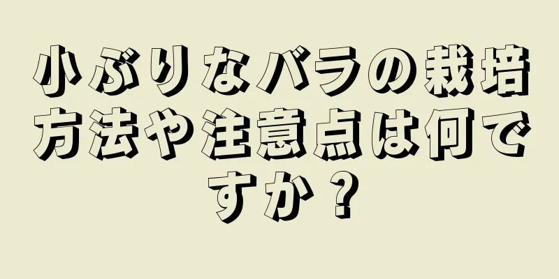 小ぶりなバラの栽培方法や注意点は何ですか？