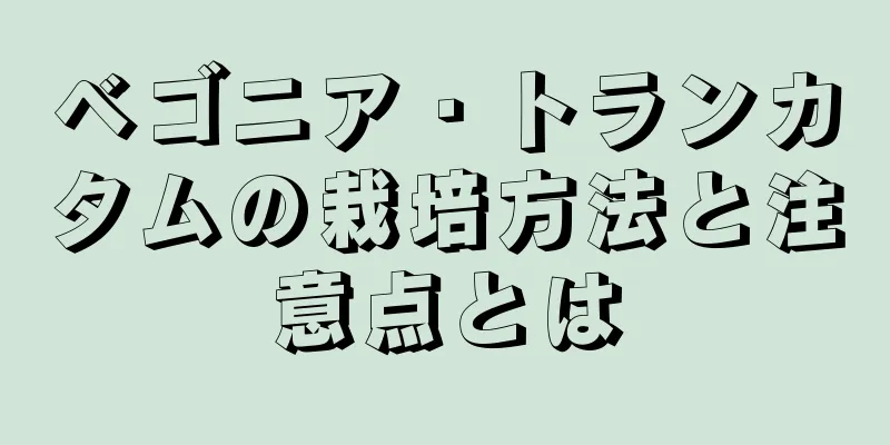 ベゴニア・トランカタムの栽培方法と注意点とは