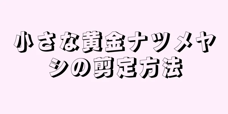 小さな黄金ナツメヤシの剪定方法