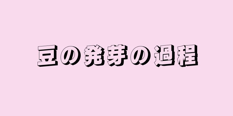豆の発芽の過程